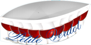 FOOTBALL SHAPE HANGING SIGN